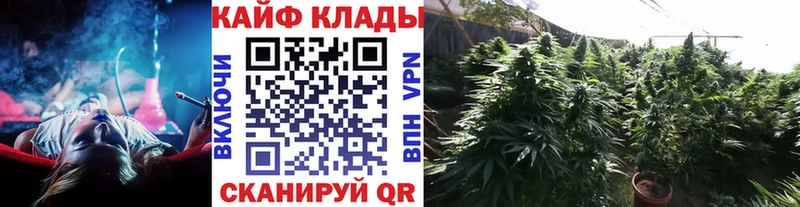 Где купить наркотики Надым Alpha PVP  Кокаин  Меф  Конопля 