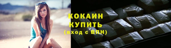 дживик Белокуриха