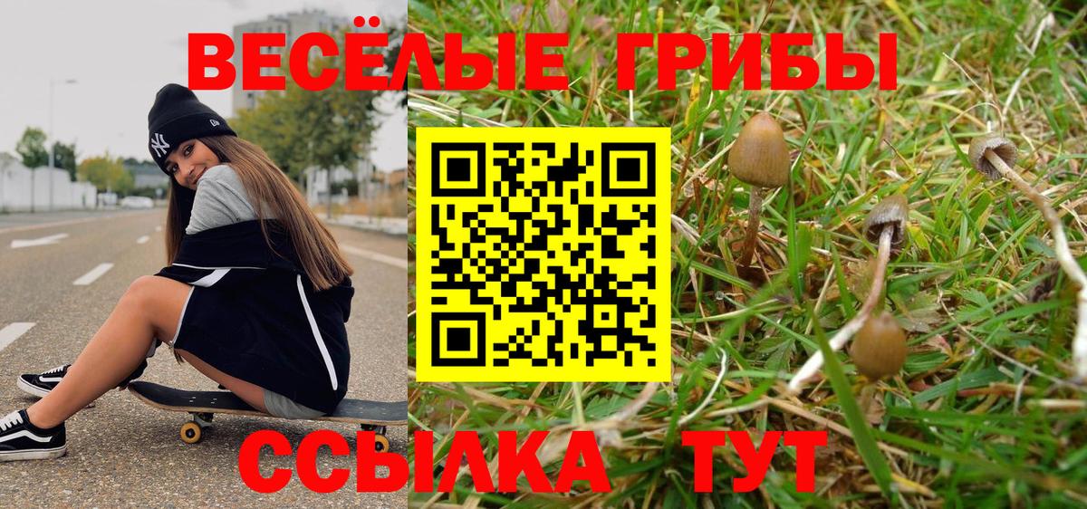 Псилоцибиновые грибы мицелий Надым