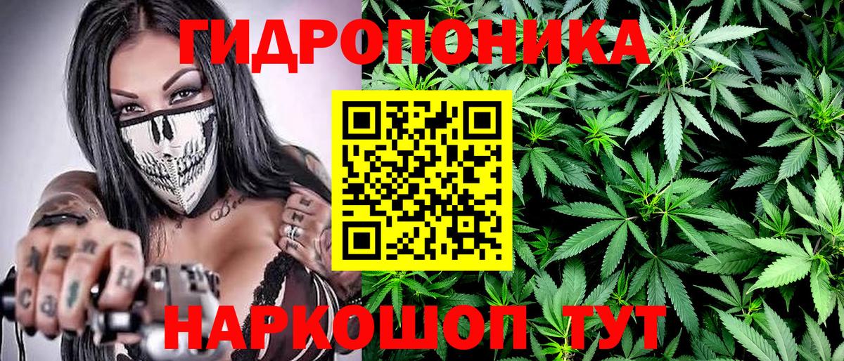 МАРИХУАНА семена Надым